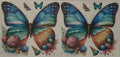 Butterflies beach scene