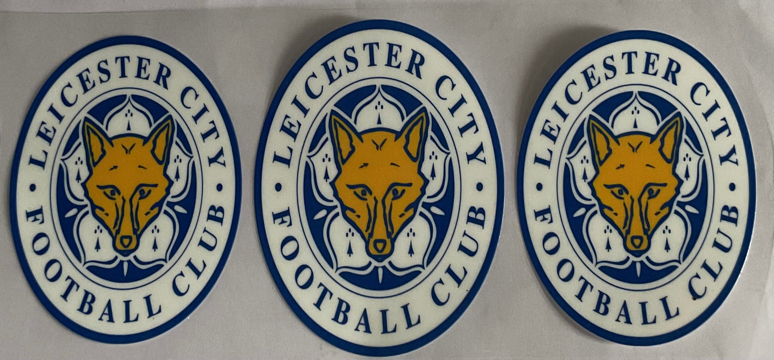 Leicester city football club