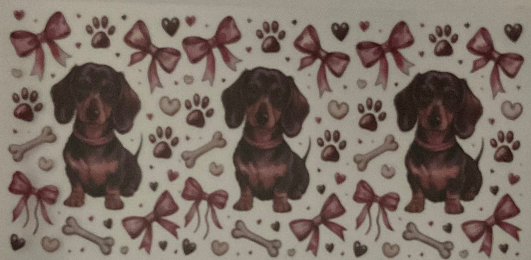 Dachshund