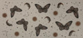 Spiritual moths