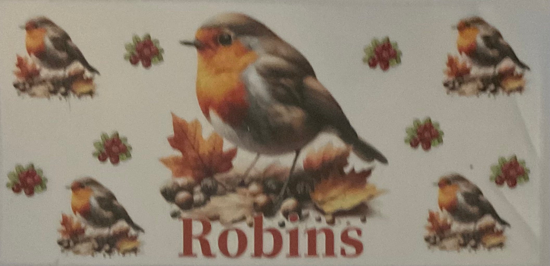 Robins